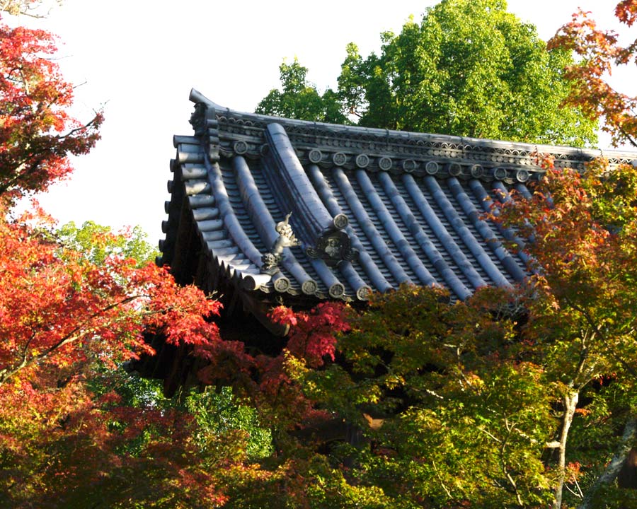 Kinkaku-ji, Golden Pavillion and Garden -  Tiled roof of Priest's house